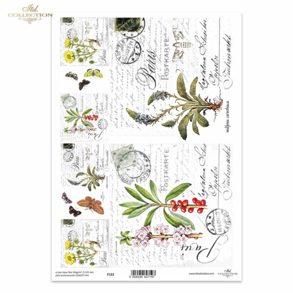 Прозрачно фолио за scrapbooking 21 х 29.7 см